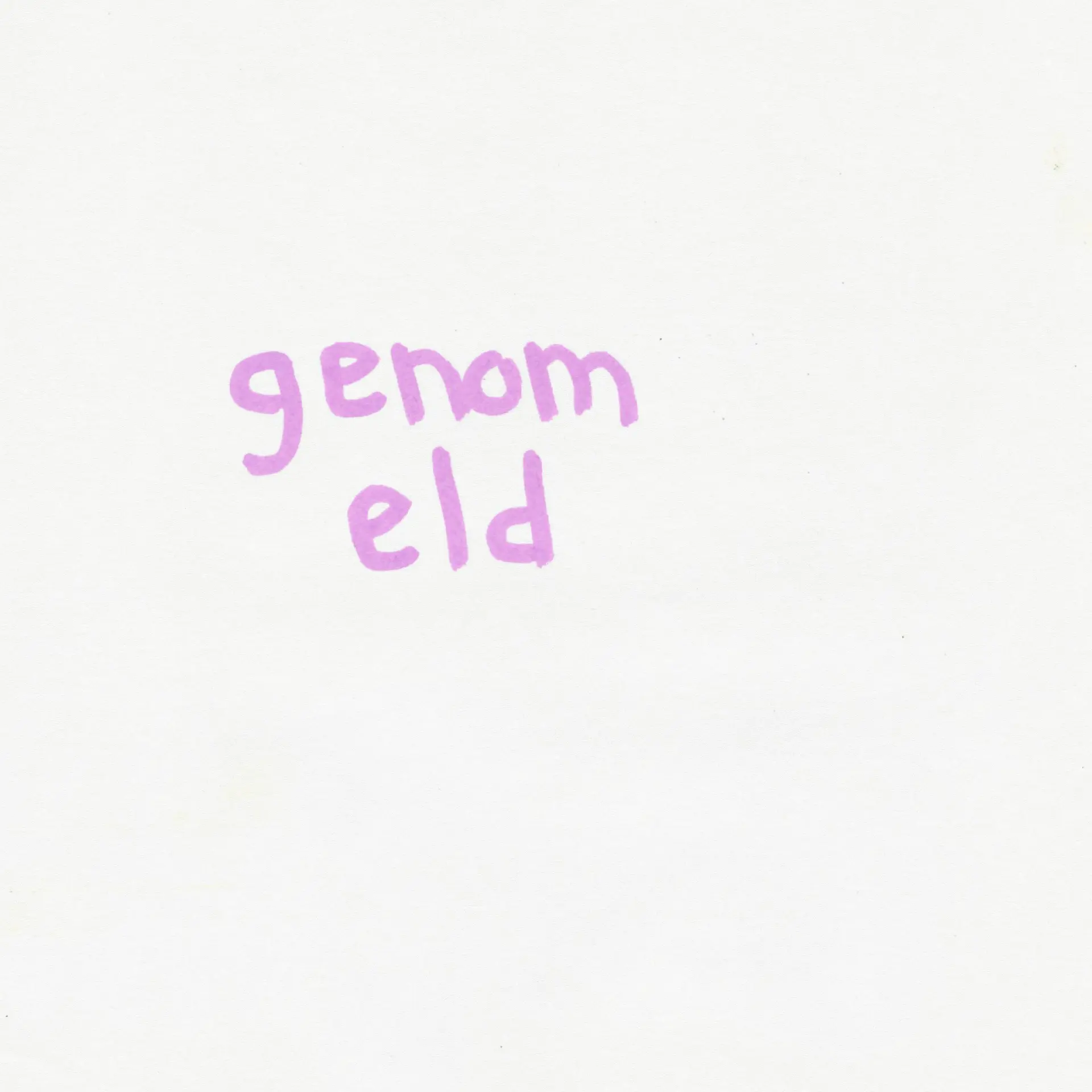 BELL — hand-painted pink 'Genom Eld' lettering on white